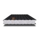 Сэндвич-панель для холодильных камер с пенополистиролом, ширина 1000 мм, толщина 60 мм, 0.5/0.5, RAL9005