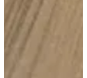 Honey Wood 