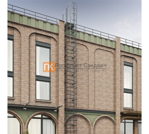 Полотно пожарной лестницы ОЦ РП-ПЛ1-2450 (кроншт. 450мм)